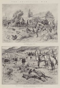 A guerra do Transvaal